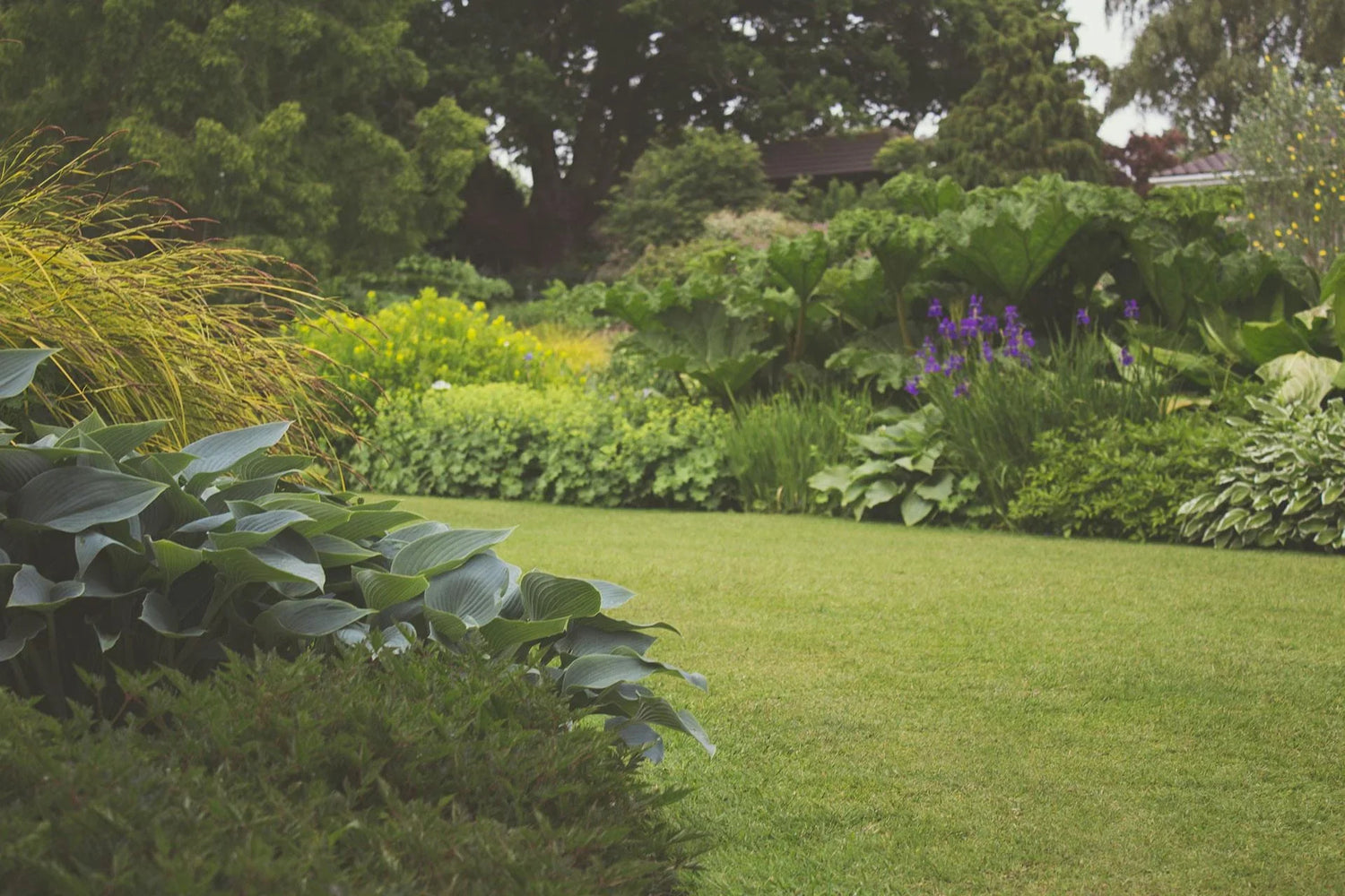 Outdoor & Garden