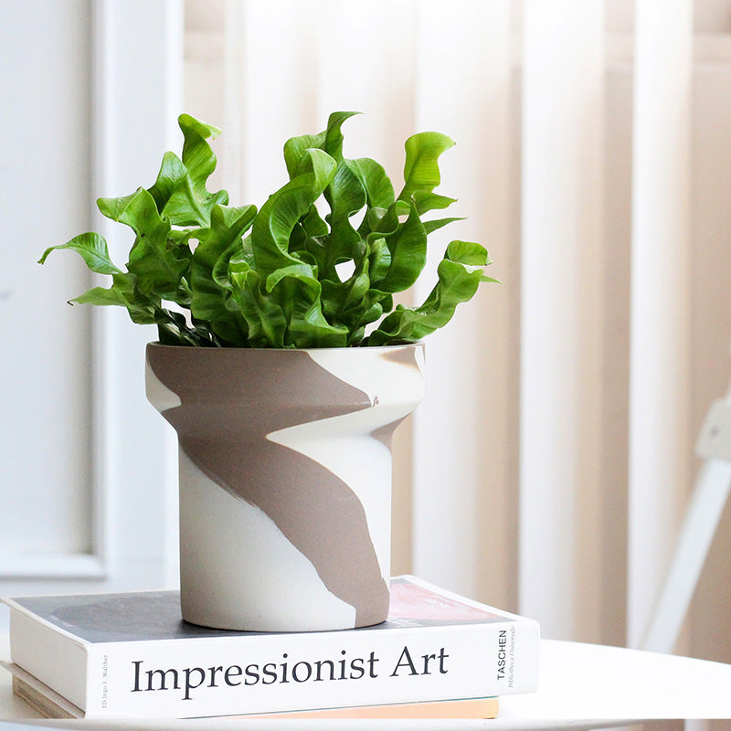 AI62 Decor Creative Ceramic Succulent & Fern Planters