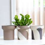 Creative Ceramic Succulent & Fern Planters AI62Decor