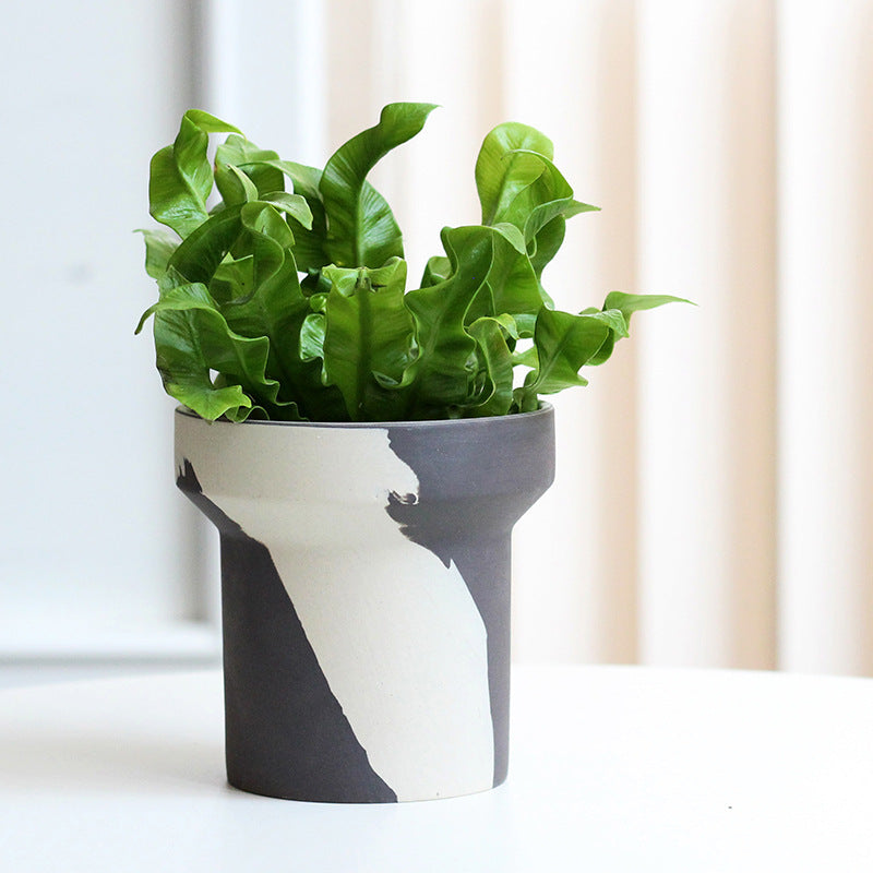 AI62 Decor Creative Ceramic Succulent & Fern Planters
