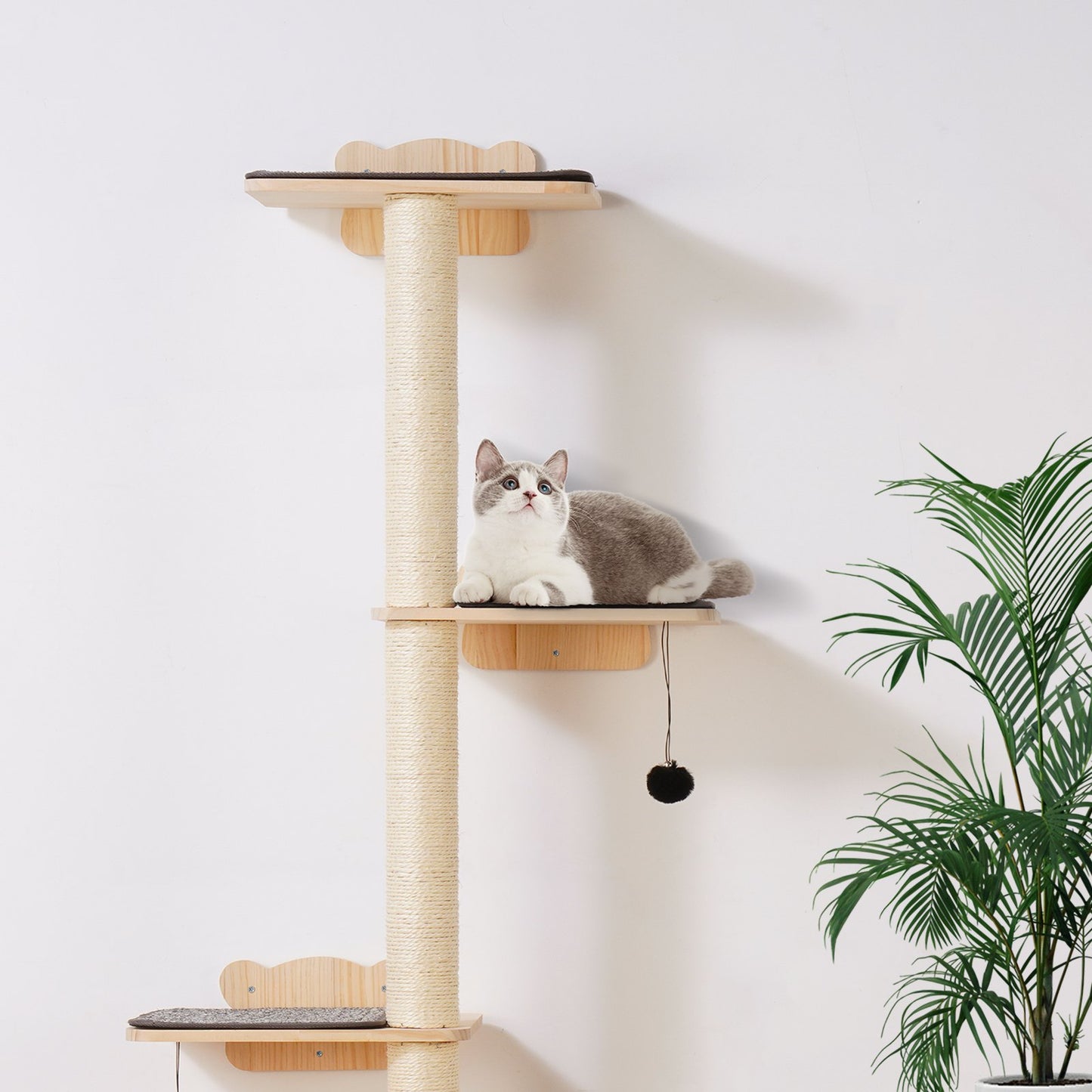 AI62 Decor 4-Tier Wall-Mounted Cat Tree with Floating Shelves, Pine Wood