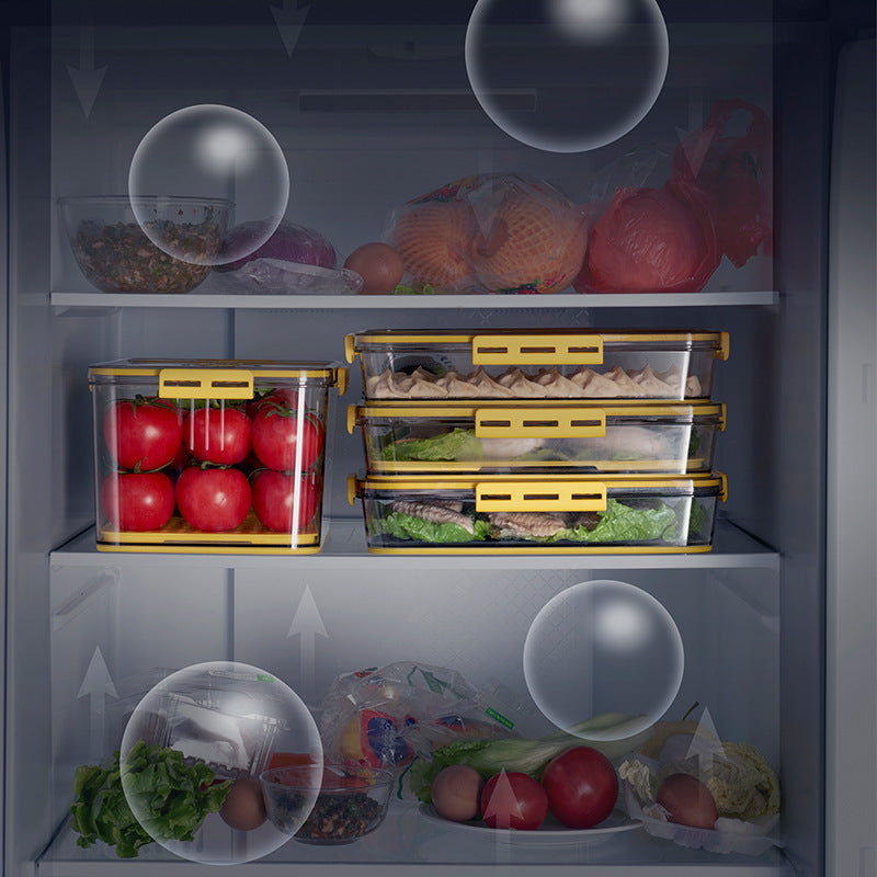 AI62 Decor Transparent Refrigerator Storage Box - Food Grade PET