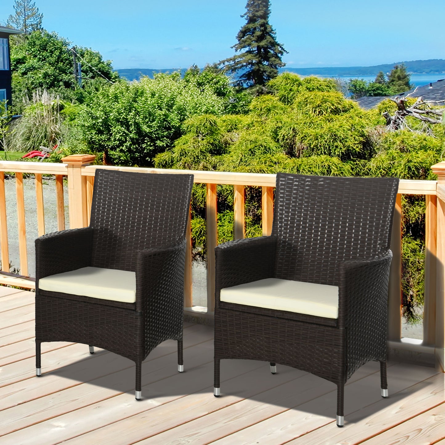 AI62 Decor 2-Piece Outdoor Rattan Dining Chairs with Cushions – Coffee