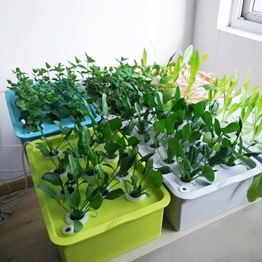AI62 Decor 24-Hole Hydroponic Garden Kit with Planters